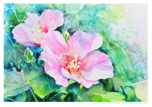１）芙蓉の花