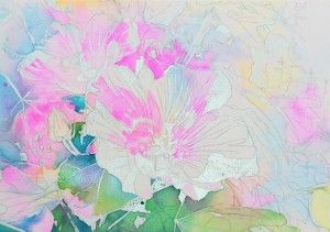 花の水彩画（塗り絵）の描き方n1-7