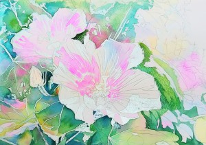 花の水彩画（塗り絵）の描き方n1-8