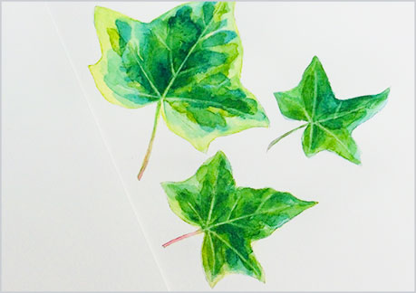 水彩画-植物の葉っぱの描き方-ウェットオンドライで完成9