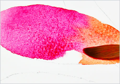 水彩画・イラスト-植物の葉っぱの描き方-グラデーションの手順3