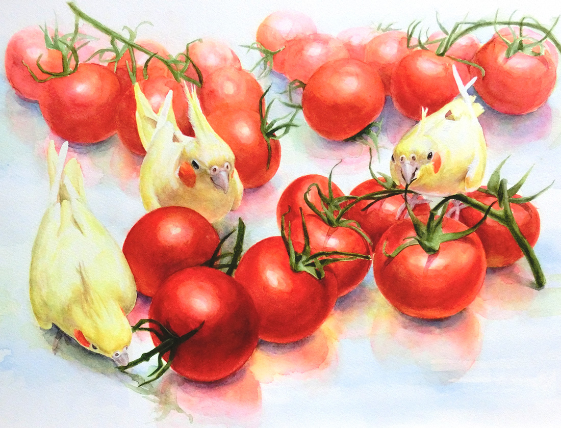 水彩画_小鳥のオカメインコとトマトの絵（水彩イラスト・絵・Watercolor painting）