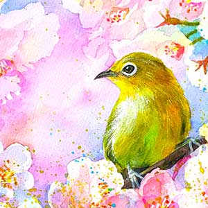 水彩画・桜とメジロ-アイキャッチ画像